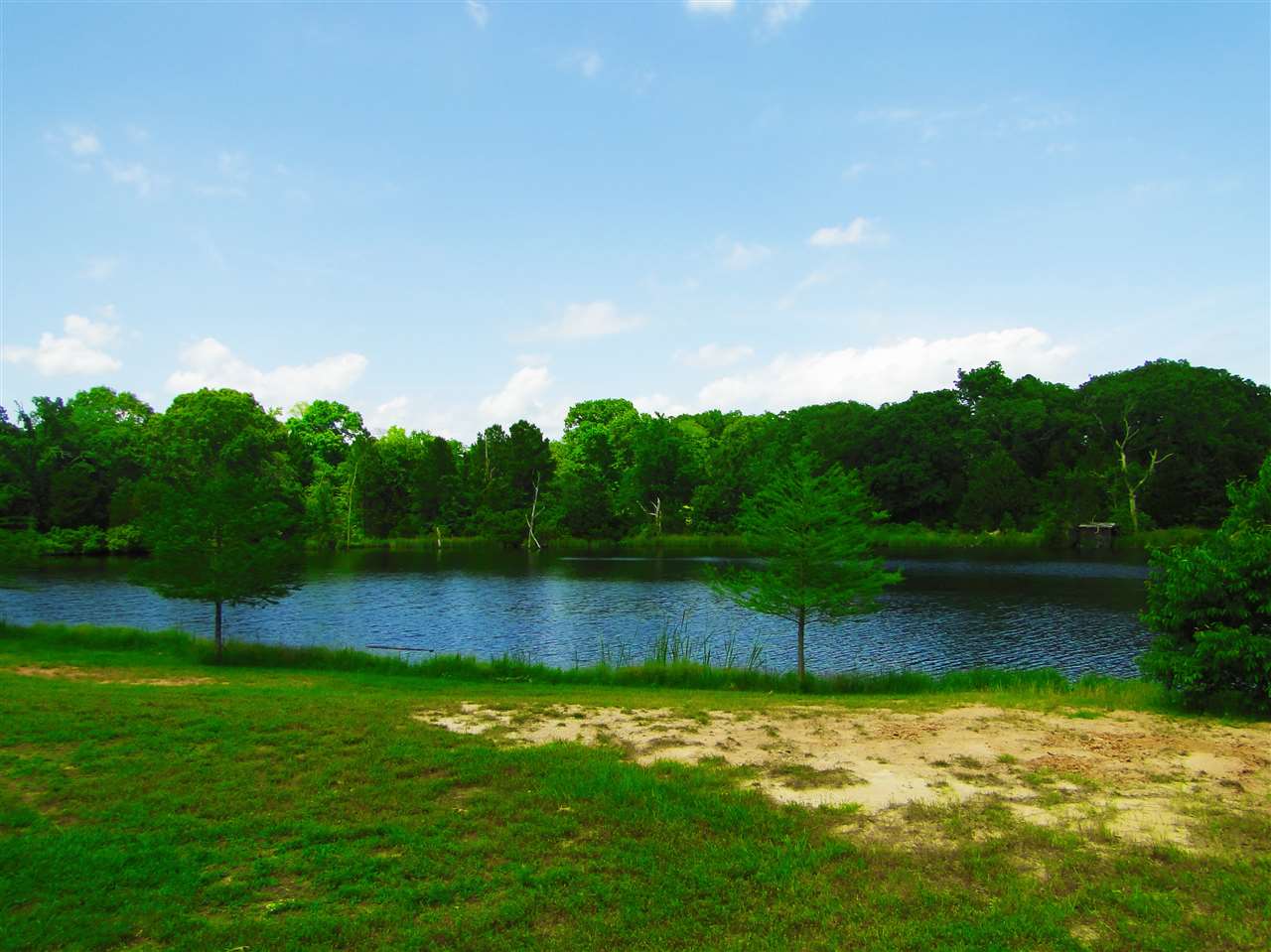 00 PR 6309 , Mineola, TX 75773
