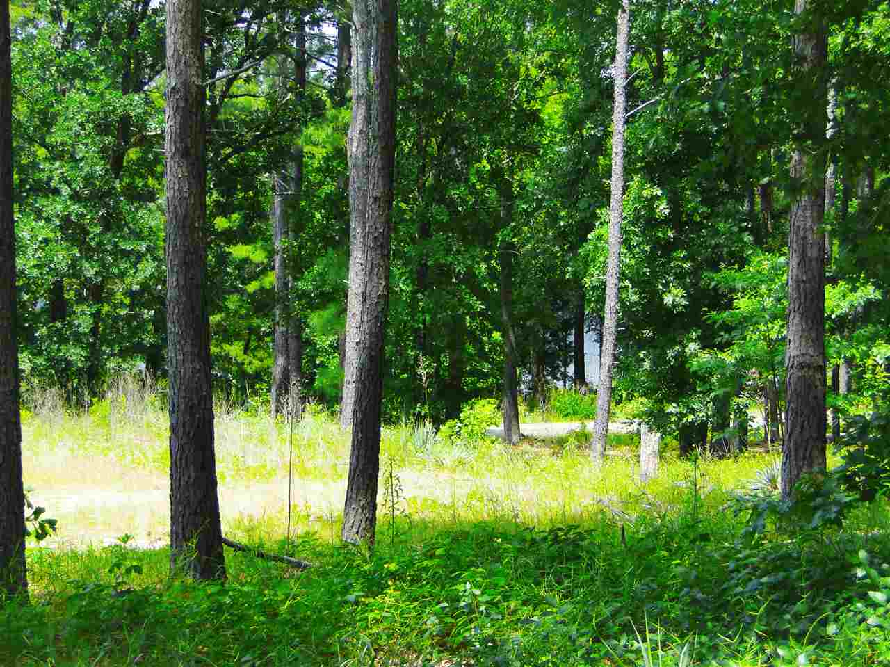 00 PR 6309 , Mineola, TX 75773