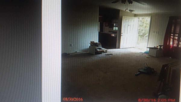 no address ,TX, Mineola, 75773