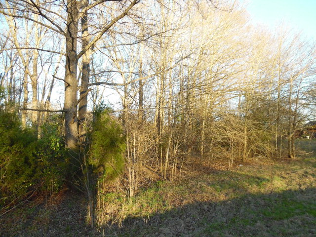 TBD FM 773, Murchison, TX 75778
