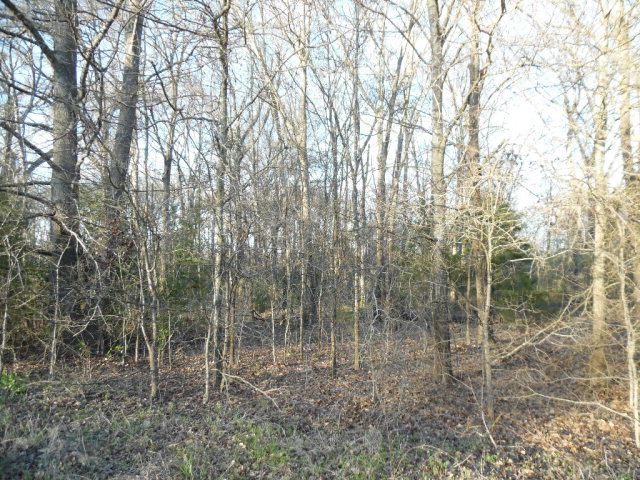 TBD FM 773, Murchison, TX 75778