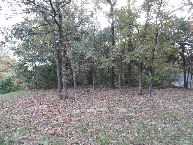 L 2-5 E Cedar Lane, Murchison, TX 75778