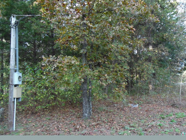 L 2-5 E Cedar Lane, Murchison, TX 75778