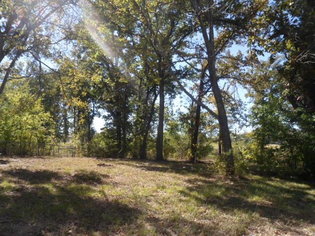 Lot 24 Tejas, Quitman, TX 75783