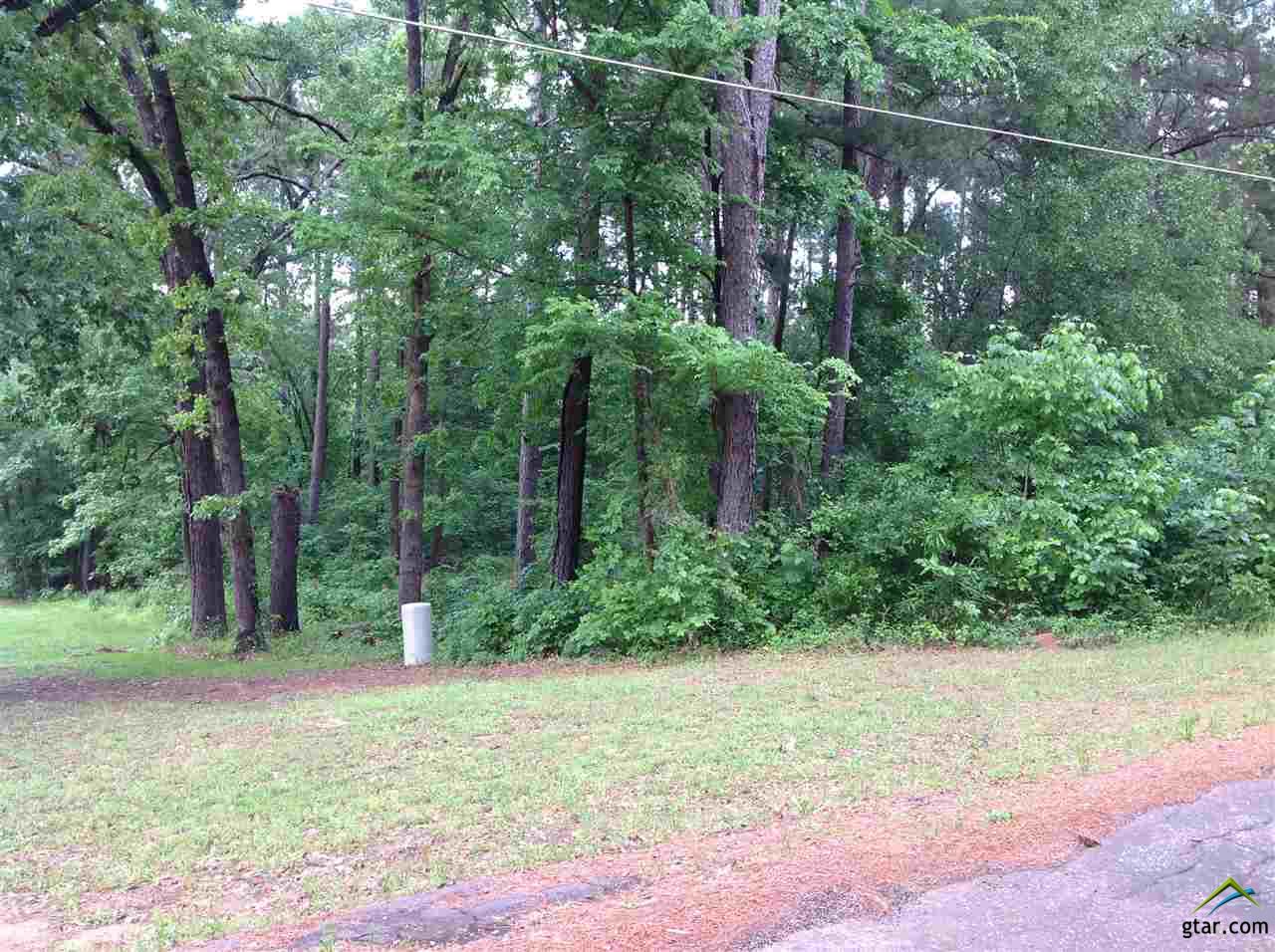 Lot 91 N Lakeview, Troup, TX 75789