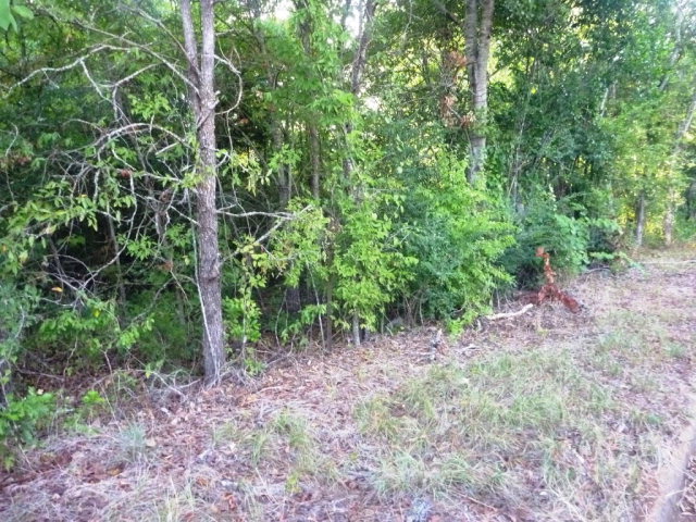 0 S Royall, Palestine, TX 75801