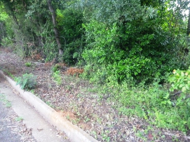 0 S Royall, Palestine, TX 75801