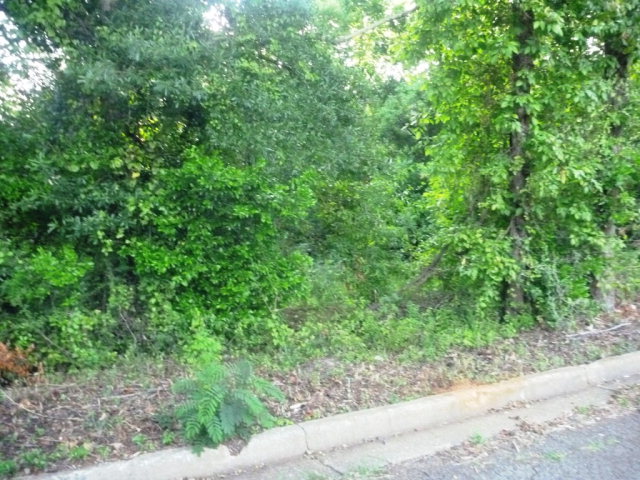 0 S Royall, Palestine, TX 75801