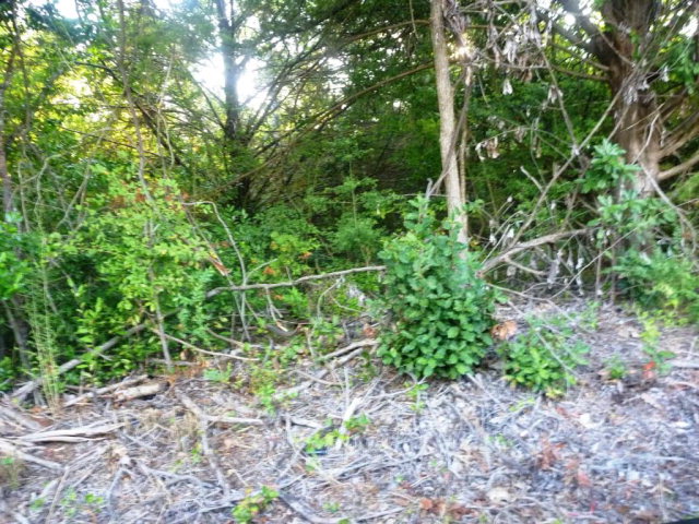 0 S Royall, Palestine, TX 75801