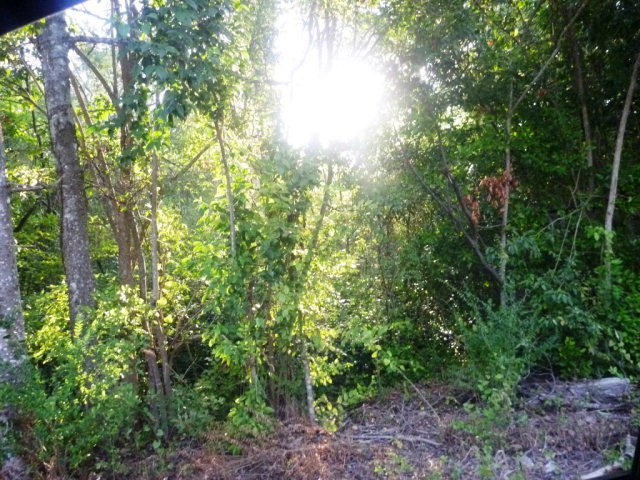 0 S Royall, Palestine, TX 75801