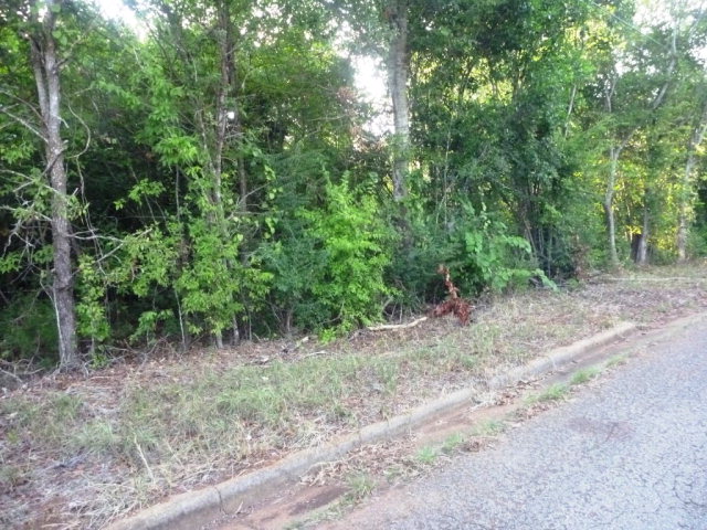 0 S Royall, Palestine, TX 75801