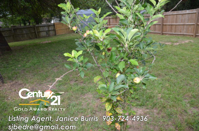 305 Ferguson, Palestine, TX 75803