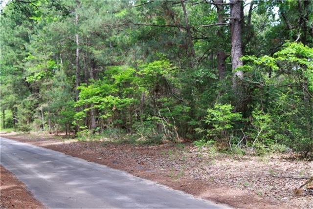 Na 4 5 Acres, Grapeland, TX 75844