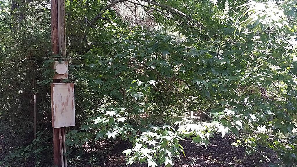 CR 1135, Kennard, TX 75847