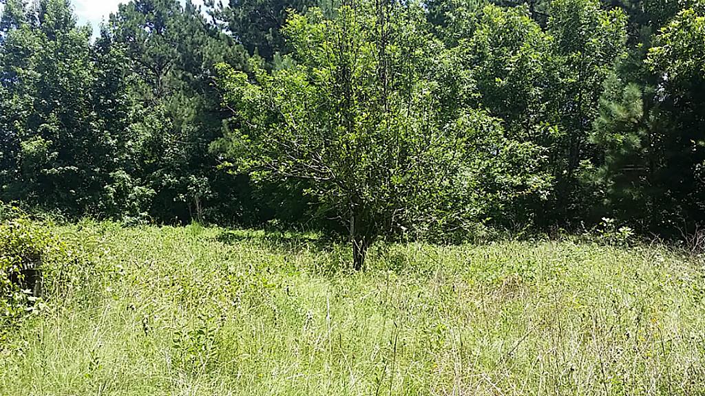 CR 1135, Kennard, TX 75847