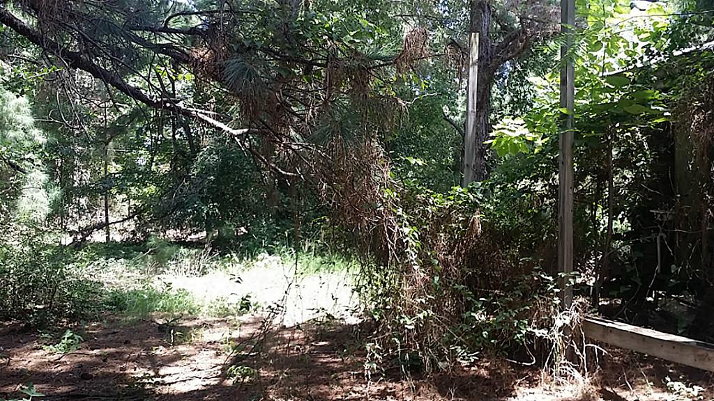 CR 1135, Kennard, TX 75847