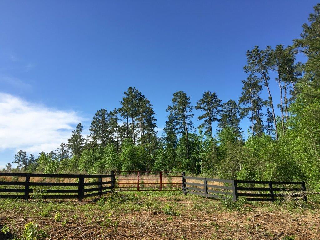 19 Ac Old Sign Road, Midway, TX 75852