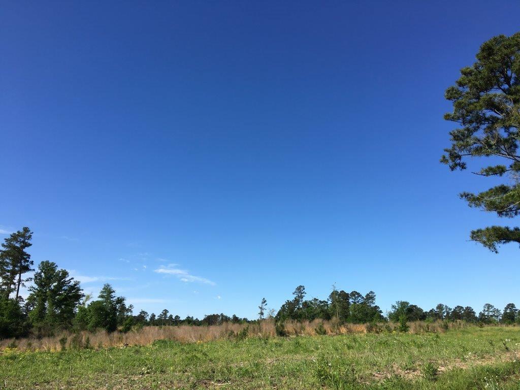 19 Ac Old Sign Road, Midway, TX 75852