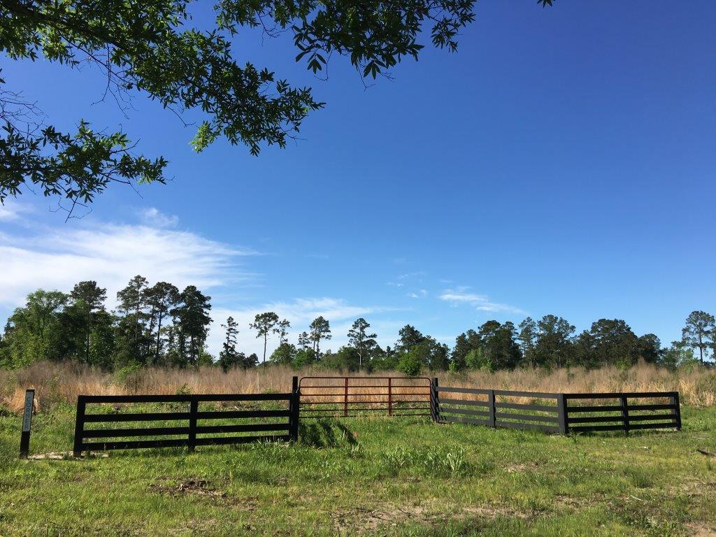 19 Ac FM 2989, Midway, TX 75852