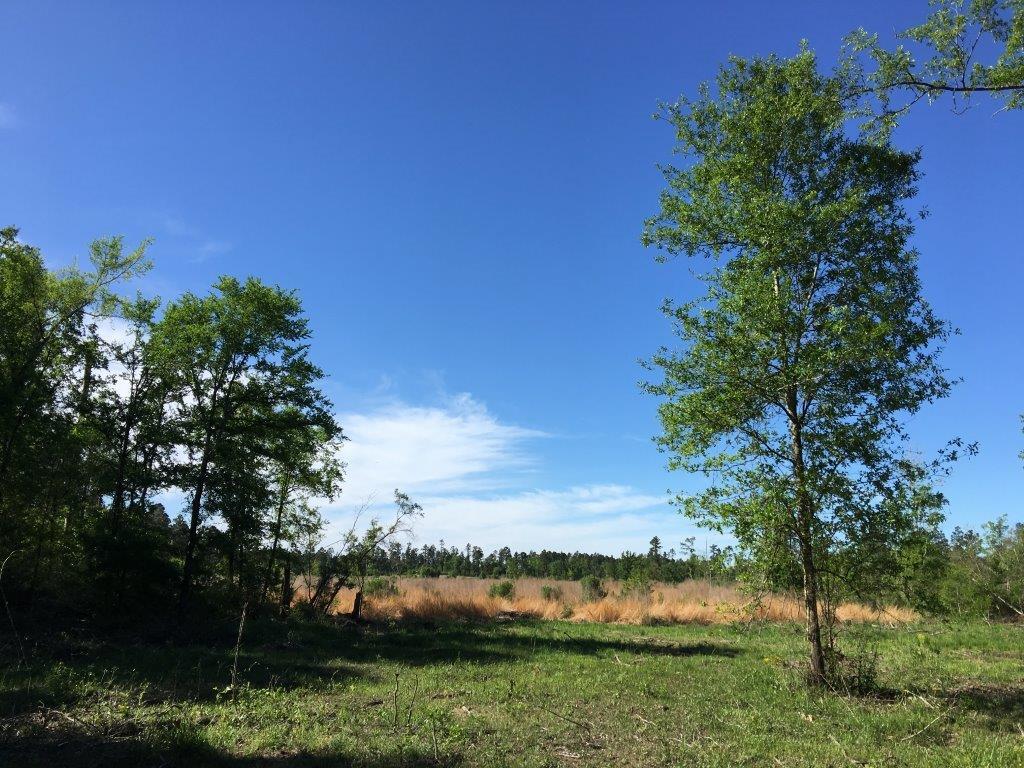 19 .8 ac FM 2989, Midway, TX 75852