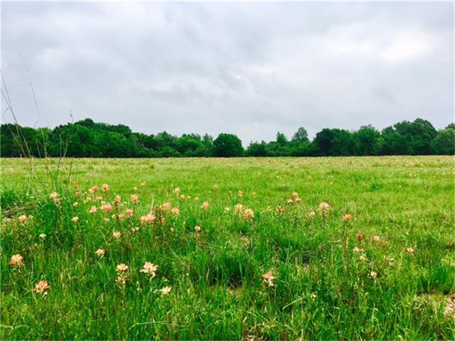 4ac FM 542, Oakwood, TX 75855