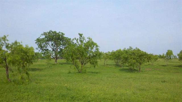 Lt 132 Lake Vista Dr, Streetman, TX 75859
