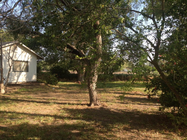 27246 Rabb Road, La Feria, TX 75859