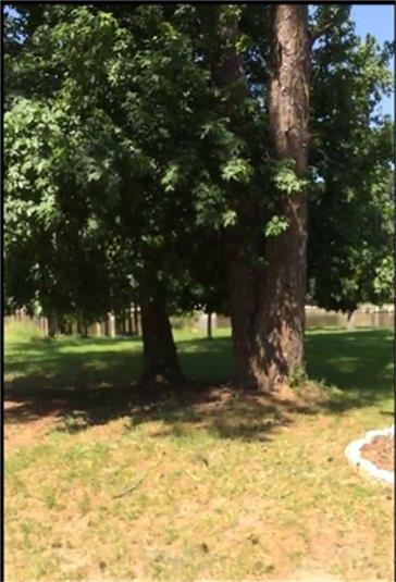 15 Trail Lake, Trinity, TX 75862