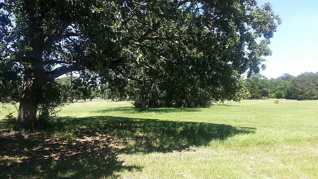 10 Brunswick Drive, Trinity, TX 75862