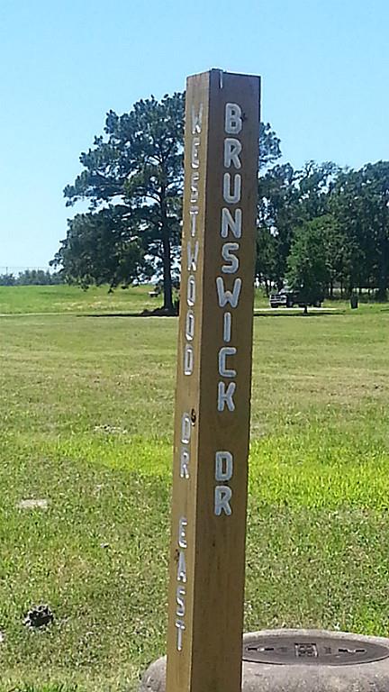 10 Brunswick Drive, Trinity, TX 75862