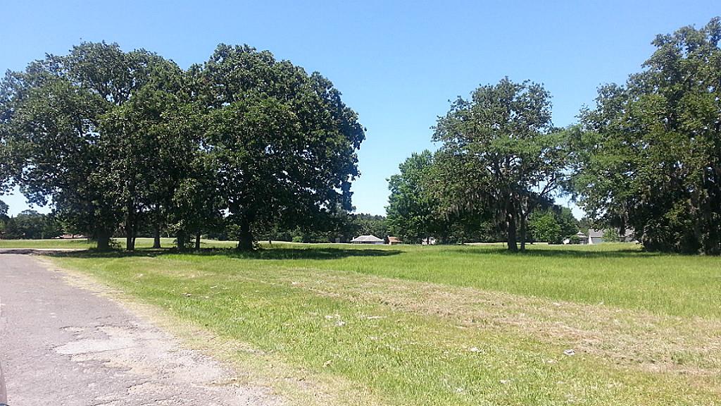 10 Brunswick Drive, Trinity, TX 75862