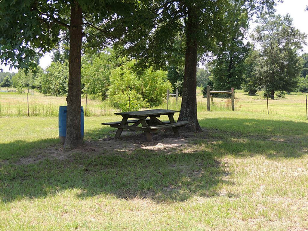 219 Bette Street, Trinity, TX 75862