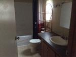 1311 SPRING LAKE DR