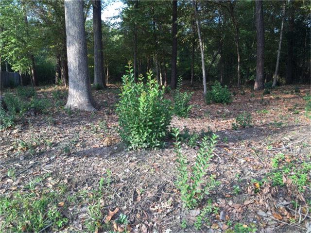 Lot 38 Autumn Lane, Lufkin, TX 75904