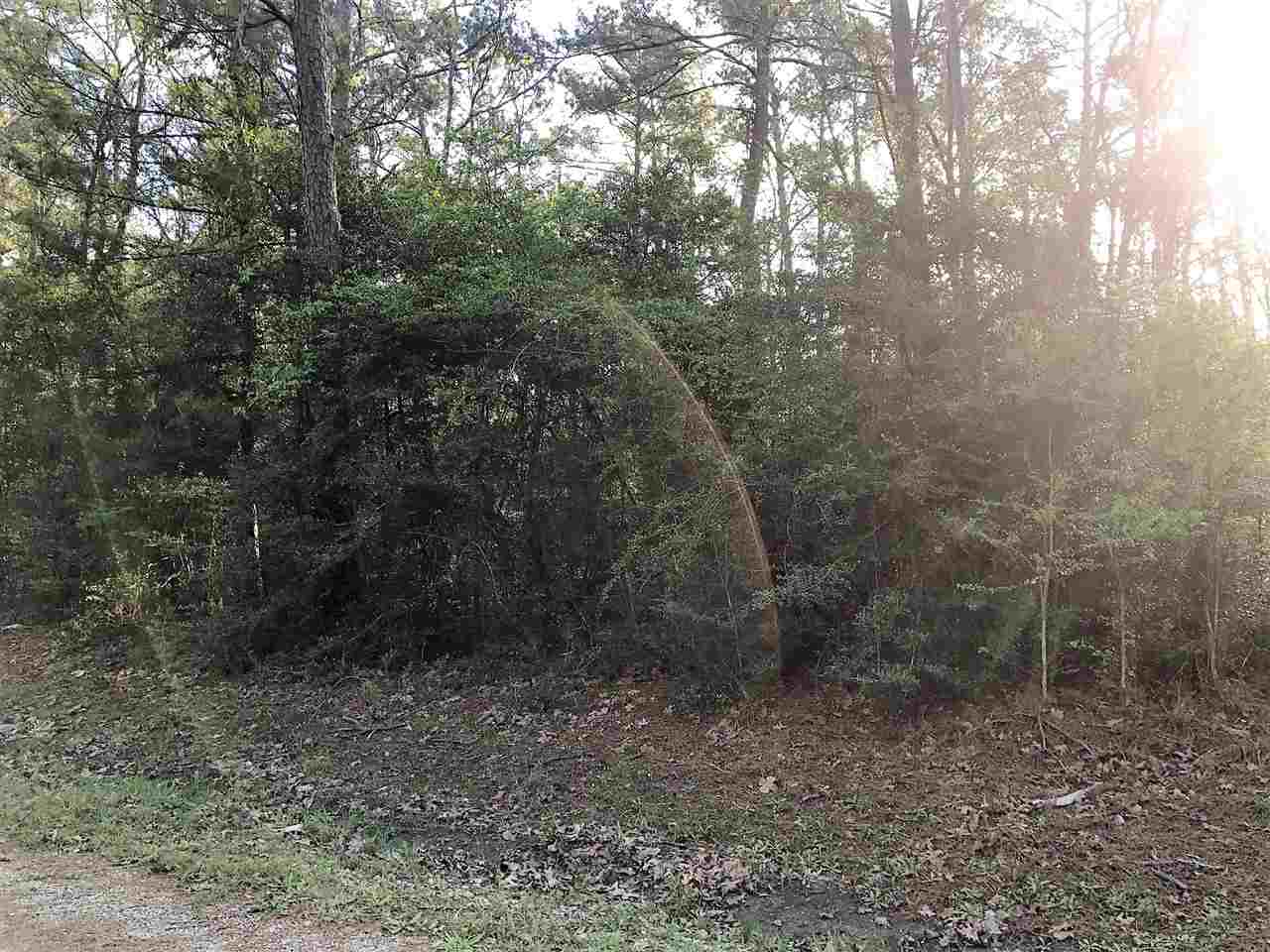 Lot 115 Section 34 Rayburn Country, Brookeland, TX 75931