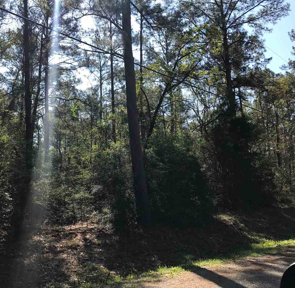 Lot 115 Section 34 Rayburn Country, Brookeland, TX 75931