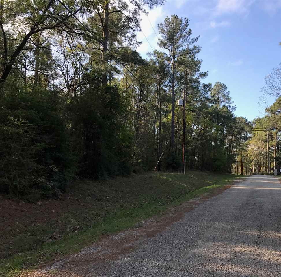 Lot 115 Section 34 Rayburn Country, Brookeland, TX 75931