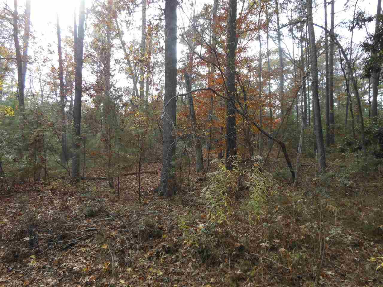 Springhill Sub-Division, Hemphill, TX 75948