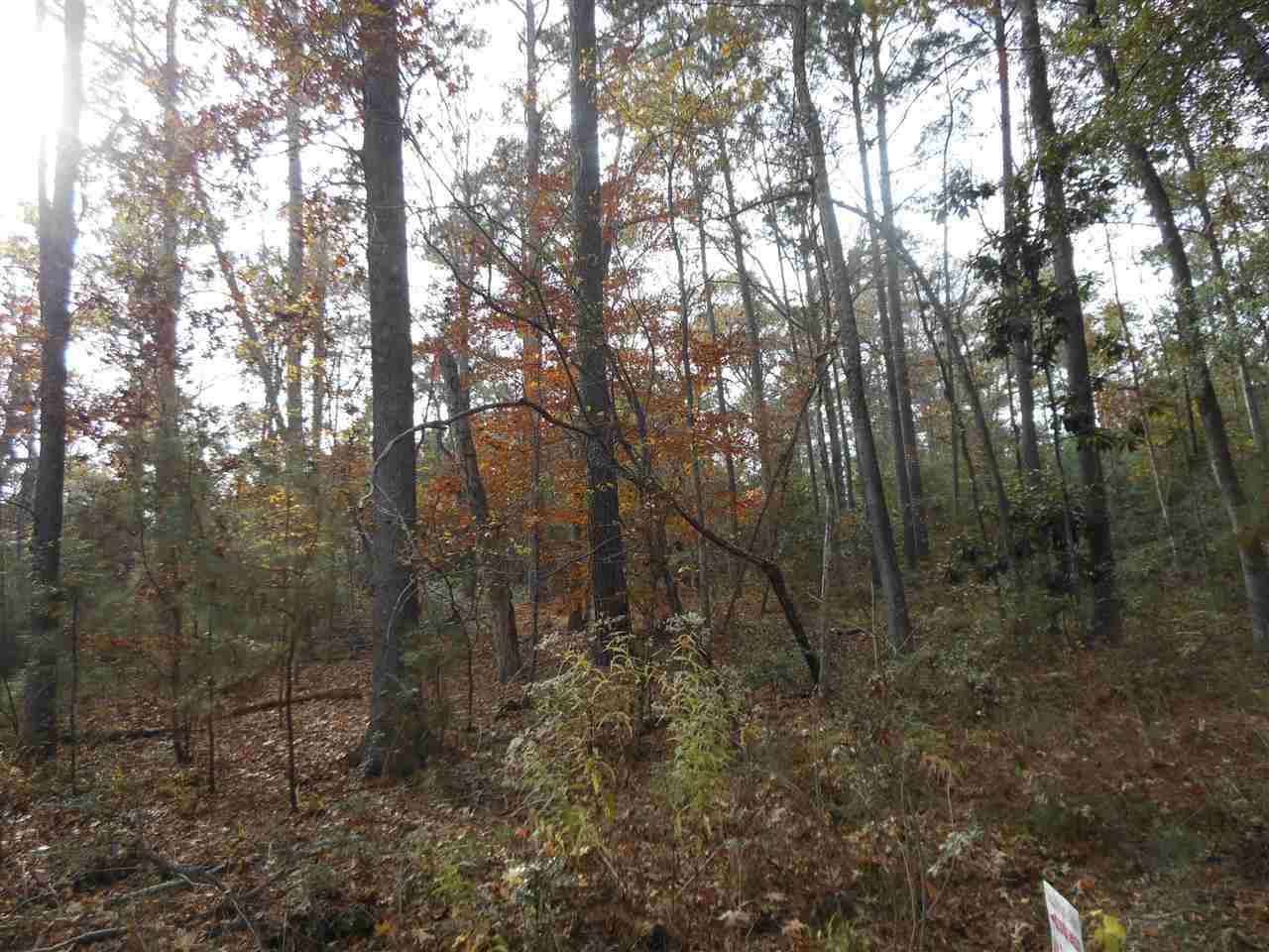 Springhill Sub-Division, Hemphill, TX 75948