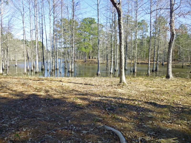 Lot 16 Tom Lowe Dr., Hemphill, TX 75948