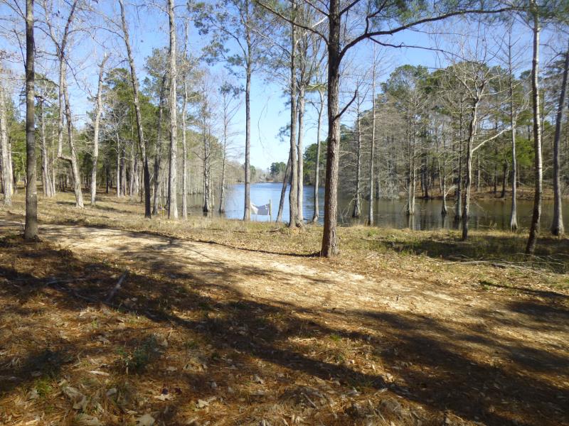 Lot 17 Tom Lowe Dr., Hemphill, TX 75948