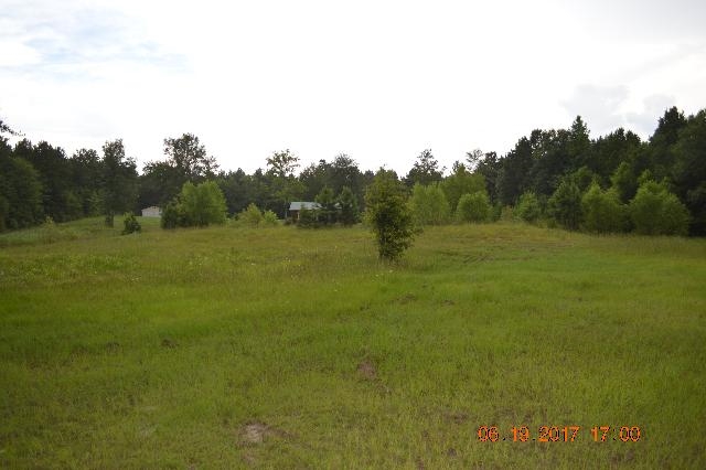 2105 Cedar Grove Road, Hemphill, TX 75948