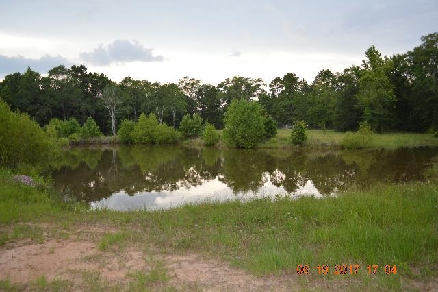 2105 Cedar Grove Road, Hemphill, TX 75948