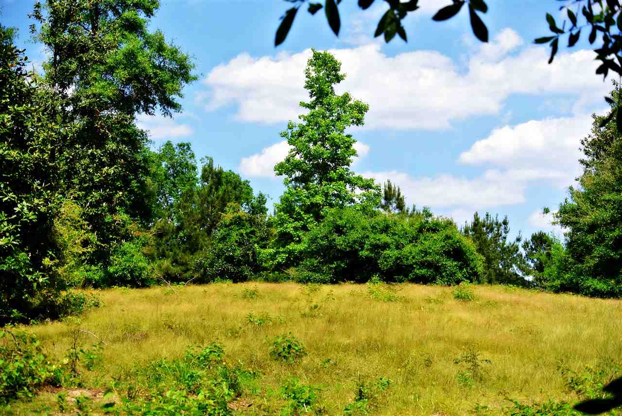 Lot 14 Cypress Hills Subdivision, Jasper, TX 75951