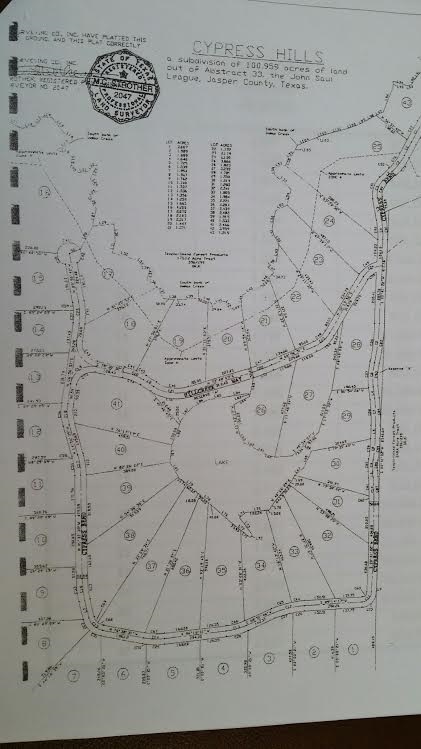 Lot 14 Cypress Hills Subdivision, Jasper, TX 75951