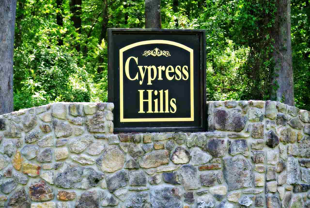 Lot 11 Cypress Hills Subdivision, Jasper, TX 75951