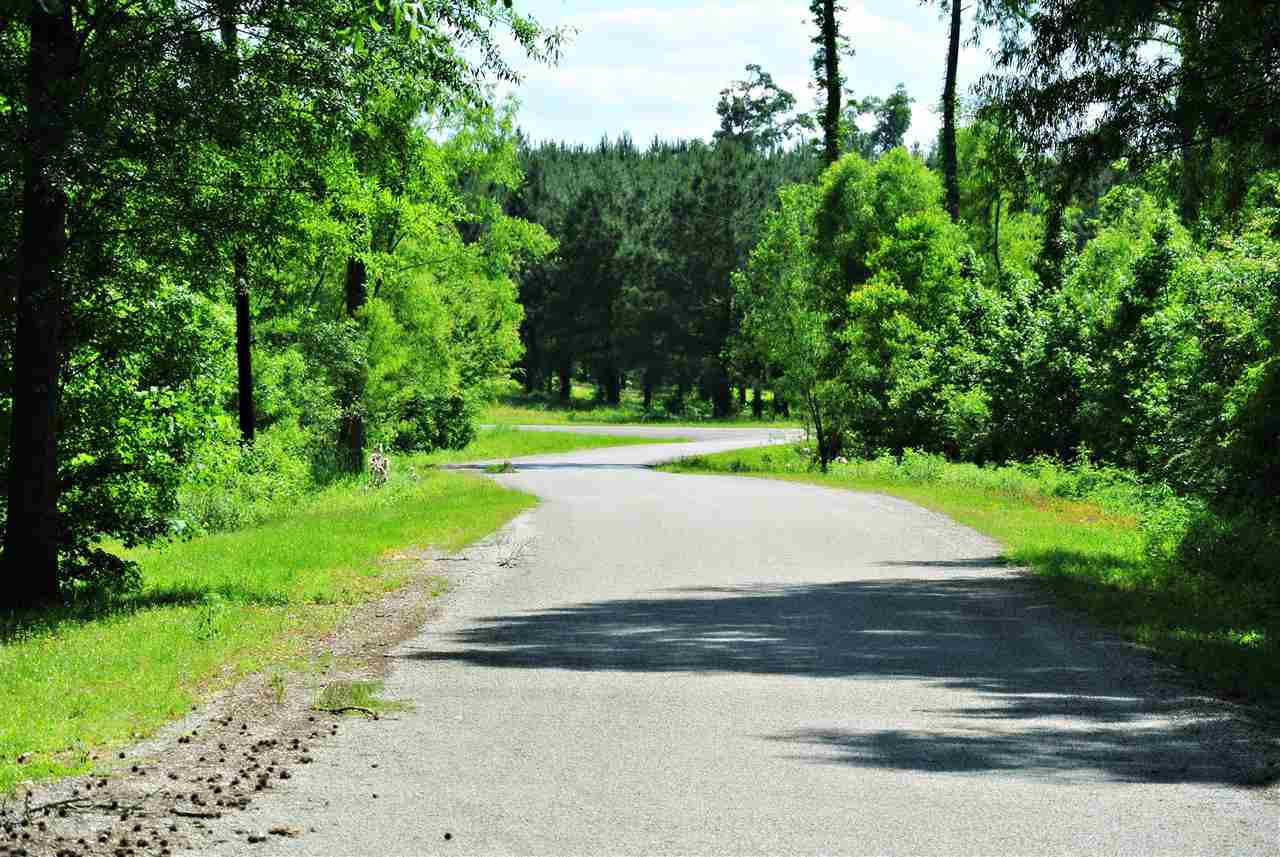 Lot 11 Cypress Hills Subdivision, Jasper, TX 75951