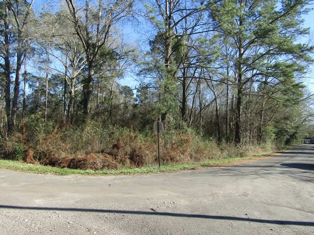 0000 Georgetown Loop, Kirbyville, TX 75956