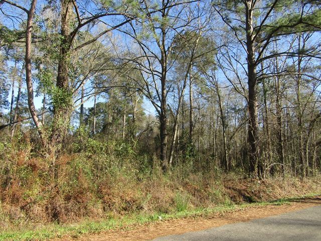 0000 Georgetown Loop, Kirbyville, TX 75956