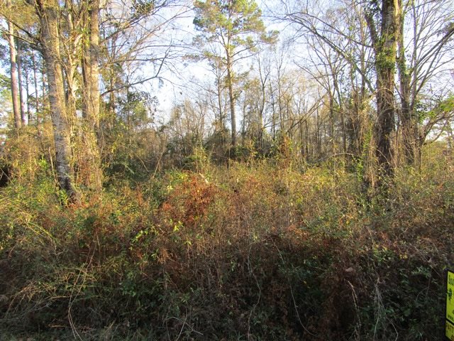 0000 Georgetown Loop, Kirbyville, TX 75956